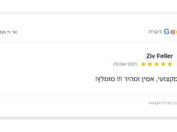 ziv feller